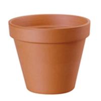 Pot terracotta d11.5h10 cm - Hortus