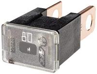 HELLA Male" fuses 80a