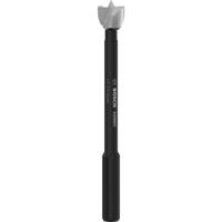 Bosch Accessories 2608901821 Forstnerboor 10 mm Gezamenlijke lengte 88 mm 1 stuk(s)