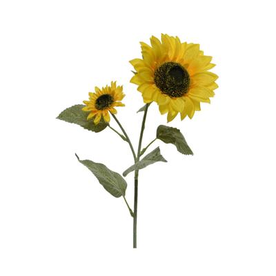 Boeketten Everlands Zonnebloem 10 x 15 x 72 cm