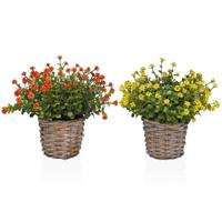 Decoratieve plant Versa Ijzer Textiel Plastic 16 x 21 cm