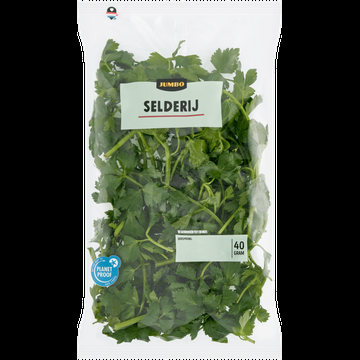 Jumbo Selderij 40 g