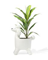 HEMA Plantenpot Poedel 19x15x33cm