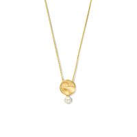 Ketting Rondje zilver-zoetwaterparel goudkleurig-wit 1,5 mm 41 + 5 cm Ketting Rondje zilver-zoetwaterparel goudkleurig-wit 1,5 mm 41 + 5 cm