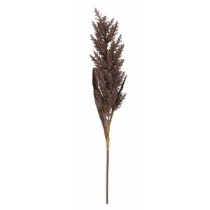 Pampasgras pluim losse steel/tak - bruin - 88 cm - Decoratie kunst graspluimen