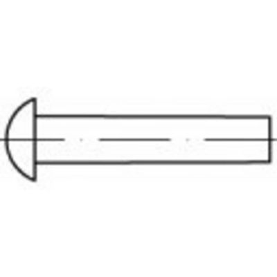 TOOLCRAFT TO-5448756 Halfronde klinknagel 6 mm 500 stuk(s)