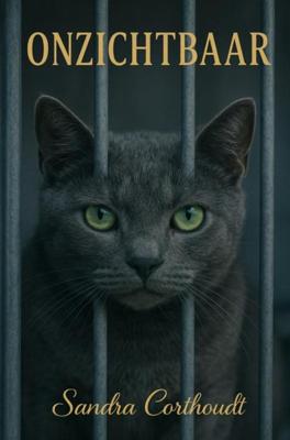 Onzichtbaar - Sandra Corthoudt - ebook