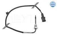 Sensor, uitlaatgastemperatuur 6148000050