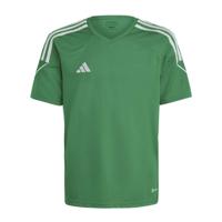 Voetbal short met korte mouwen voor kinderen Adidas Tiro 23 Groen Maat 7-8 jaar