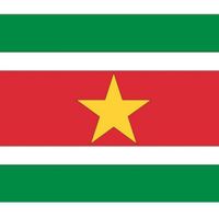 10x Stickertjes Suriname vlag 10 cm   -