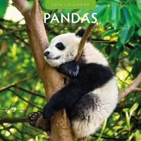 Panda Kalender 2026