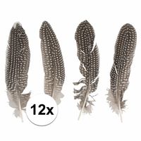 12x Decoratie veren van een fazant