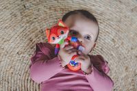 VTech Baby Dierenvriendjes Rammelaar - Vos - thumbnail