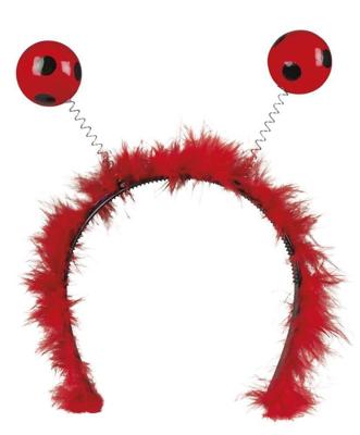 Tiara ladybird