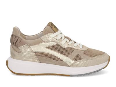 Floris van Bommel Suvi 04.03 gold Goud maat 38.5