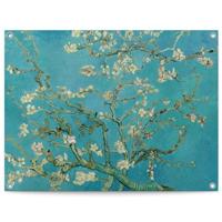 Reinders - Van Gogh Almondblossom - Tuinposter 80x60cm