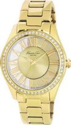 Horlogeband Kenneth Cole KC4853 Staal Doublé 20mm