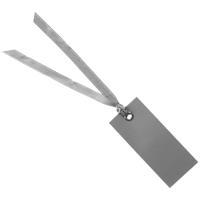Santex Cadeaulabels met lintje - set 12x stuks - zilver - 3 x 7 cm - naam tags