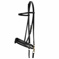 Pagony Trainings hoofdstel zwart maat:cob