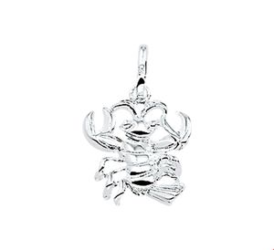 Hanger Sterrenbeeld zilver
