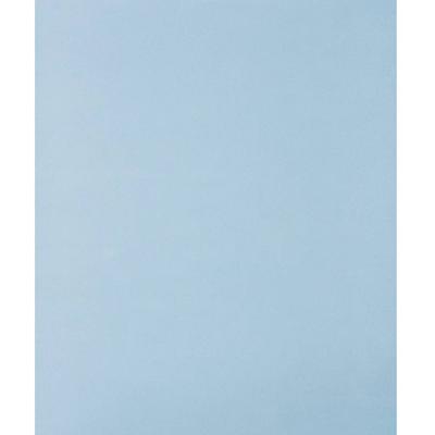 PFERD TOOLS 45015080 Handschuurpapier Korrelgrootte (num) 800 (l x b) 280 mm x 230 mm 50 stuk(s)