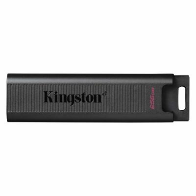USB stick Kingston DTMAX/256GB Zwart 256 GB