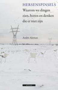 Hersenspinsels (Paperback)