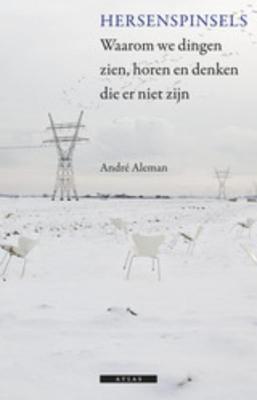 Hersenspinsels (Paperback)