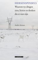 Hersenspinsels (Paperback)