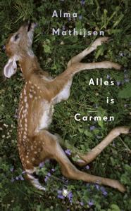 Alles is Carmen (Hardback)