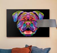 Canvas schilderij honden volle kleur moderne hond