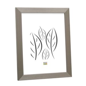 Deknudt Fotokader in zilverkleur 15x20 S41VD1
