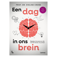 Een dag in ons brein