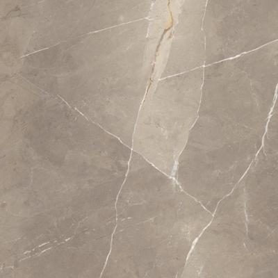Vloertegel Energieker Pietragrey Glans 120X120 cm Taupe Energieker