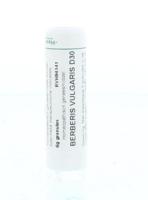 Berberis vulgaris D30 6 Gram