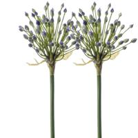 Emerald Allium/Sierui kunstbloem - 2x - losse steel - blauw - 70 cm - Natuurlijke uitstraling - Kunstbloemen - thumbnail