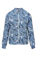 Dreamstar Jack Z26 104 Andrea