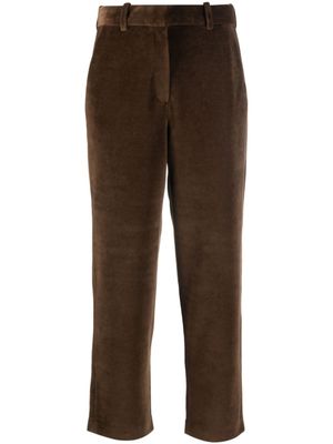 Circolo 1901 pantalon chino en velours - Marron
