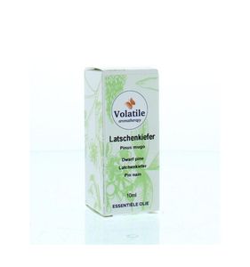 Latchenkiefer