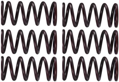TRW Clutch spring kit mef300-6
