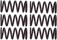 TRW Clutch spring kit mef300-6