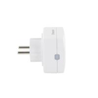 Chacon veel van 4 mini -sockets aan/uit en 2 afstandsbedieningen (FR)