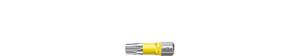 Wiha 7015Y930 Bitset Y-bit 25 mm TORX® (T30) 5-delig 1/4" C6,3 in box - 41596