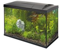 Superfish Start 70 Tropical Kit Zwart - 60L Complete Aquariumset met LED & Filter