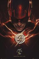 Poster DC Comics - The Flash Batcave 61x91,5cm