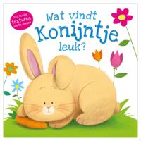 Rebo Publishers Voelboek - wat vindt konijntje leuk?