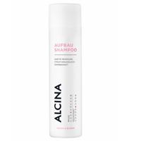 Alcina Intensive Pflege Aufbau Shampoo