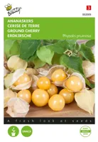 Buzzy® Ananaskers Physalis pruinosa Zaden