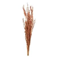 Droogbloemen Alfonso gras - naturel - 100 cm - Leen Bakker - thumbnail