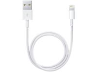 Apple ME291ZM/A Apple Lightning to USB Cable 0.5m. White